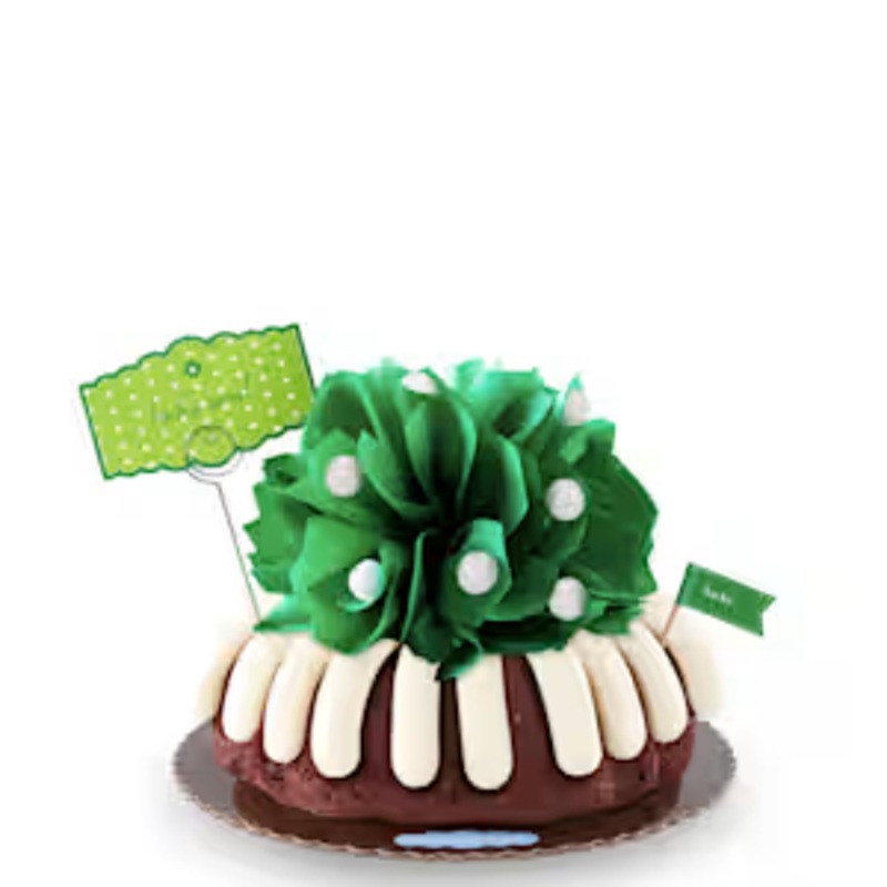 Lucky You 10" Decorated Bundt Cake